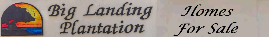 Big Landing Plantation homes for sale